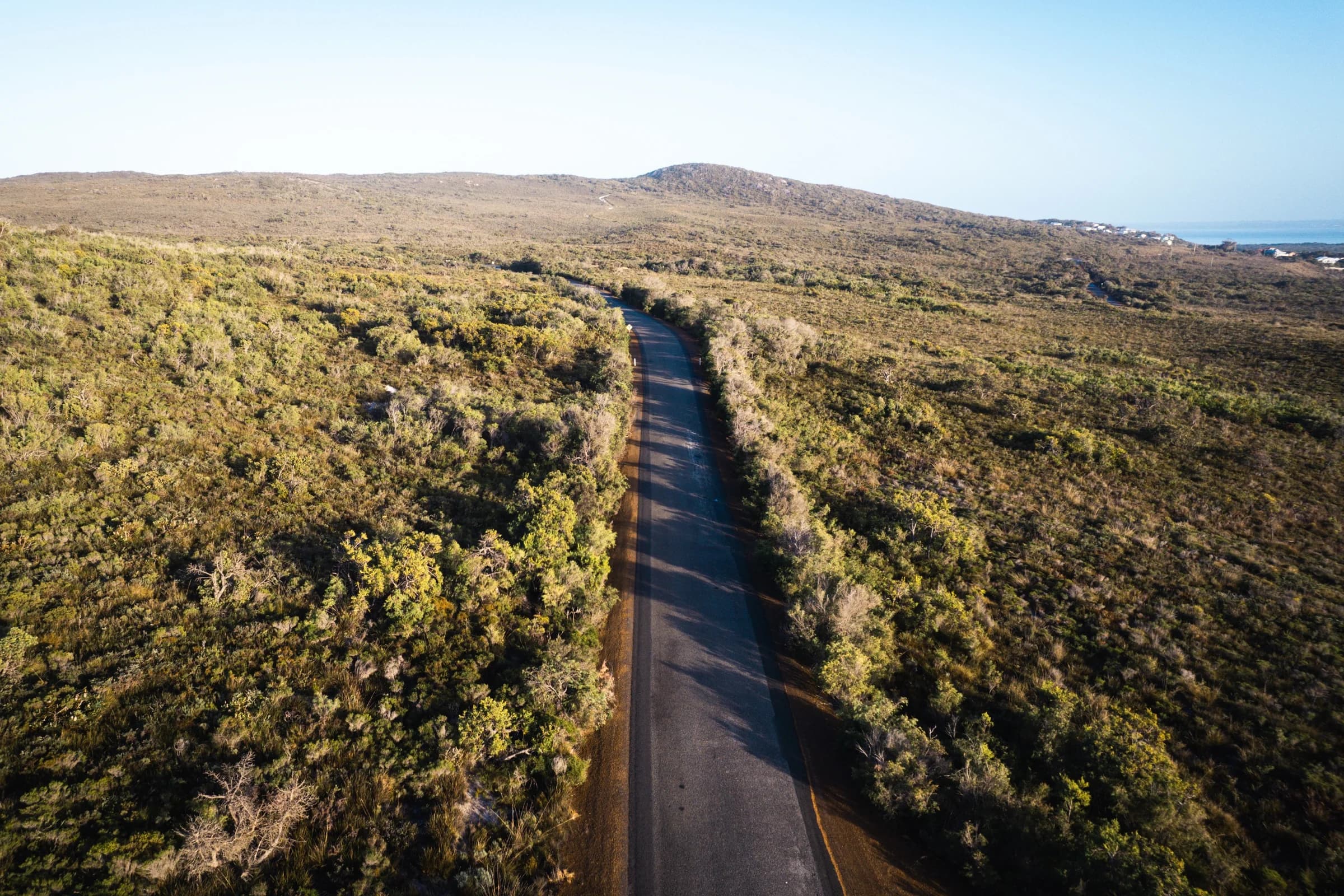 Lone Road Through Coastal Bushland